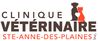 Les tiques sont de plus en plus présentes dans notre environnement. En effet, plusieurs animaux sont vus en clinique vétérinaire pour s’en faire retirer. ...